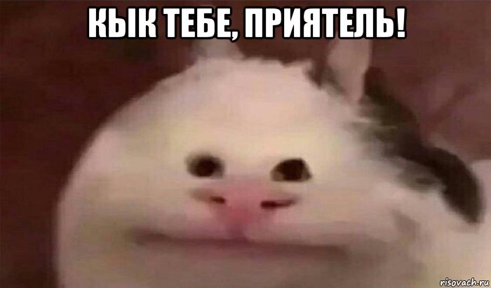 Приятель ты зря спешишь