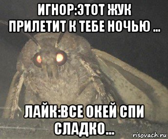игнор:этот жук прилетит к тебе ночью ... лайк:все окей спи сладко...