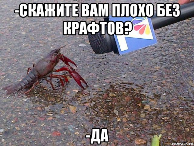 -скажите вам плохо без крафтов? -да, Мем Скажите пожалуйста как давно вы 