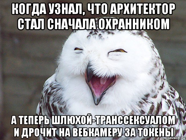 когда узнал, что архитектор стал сначала охранником а теперь шлюхой-транссексуалом и дрочит на вебкамеру за токены