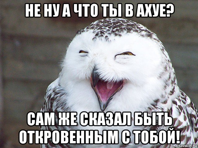 не ну а что ты в ахуе? сам же сказал быть откровенным с тобой!