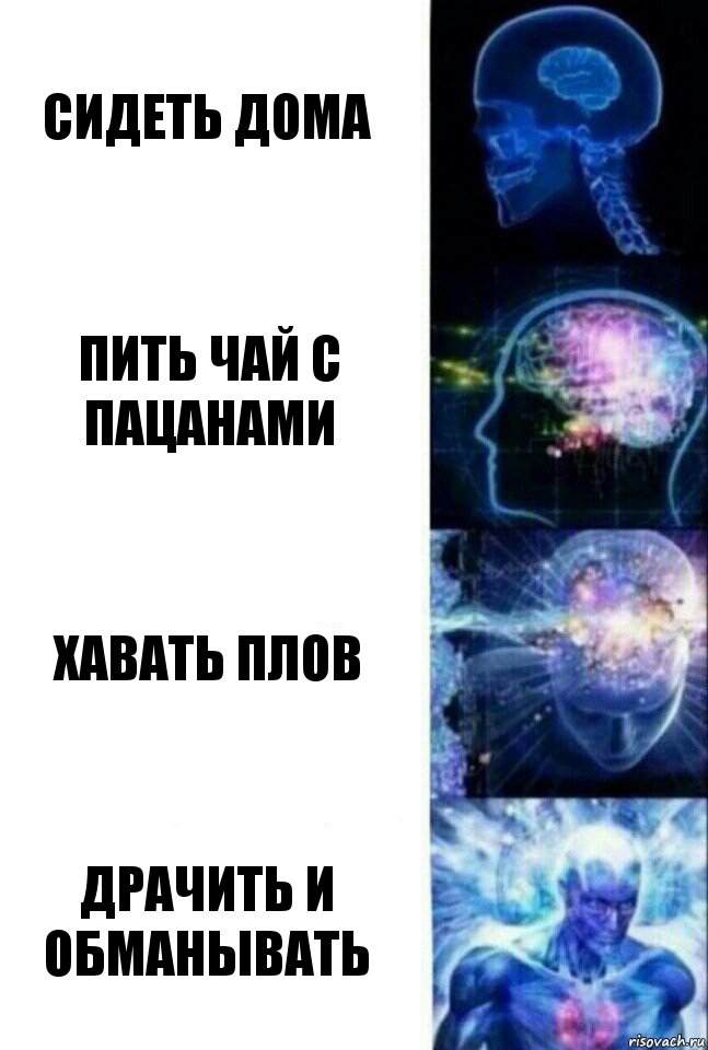 Сидеть дома Пить чай с пацанами Хавать плов Драчить и обманывать, Комикс  Сверхразум