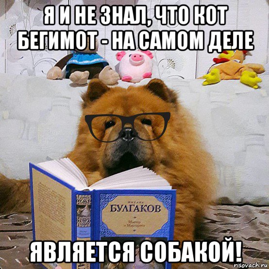 Являясь на деле. Коломбо и пес Мем. Такие дела собачка Мем. Коломбо Мем. Съешь меня Мем песик.