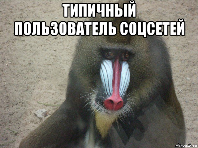 типичный пользователь соцсетей 