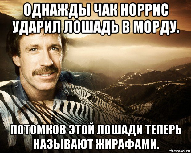 Сейчас называю. Однажды Чак Норрис. Чак Норрис мемы. Анекдоты про Чака Норриса короткие. Чак Норрис мемы 2020.