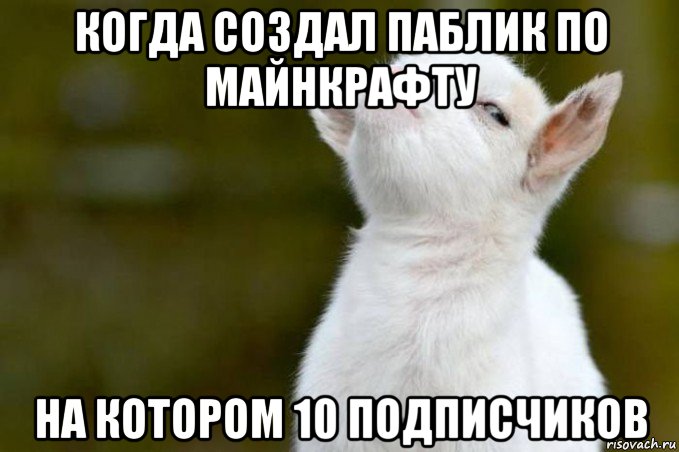 когда создал паблик по майнкрафту на котором 10 подписчиков, Мем  Гордый козленок