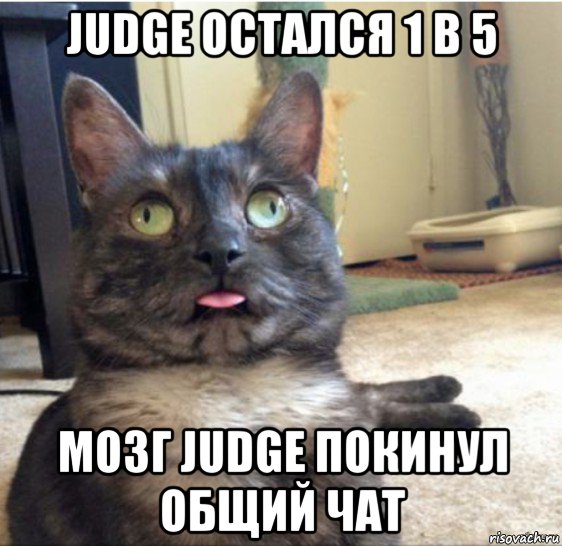 judge остался 1 в 5 мозг judge покинул общий чат