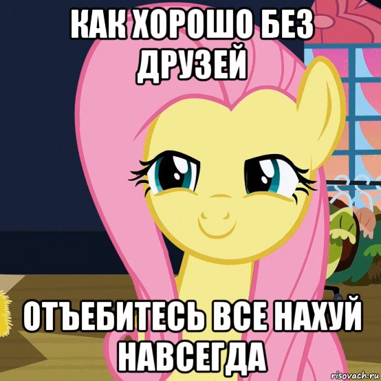 как хорошо без друзей отъебитесь все нахуй навсегда, Мем  Mem Fluttershy