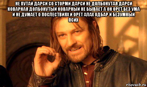 не путай дарси со сторми дарси не долбонутая дарси коварная долбонутый коварный не бывает а он орет без ума и не думает о послествиях и орет алах одбар и безумный псих , Мем Нельзя просто так взять и (Боромир мем)