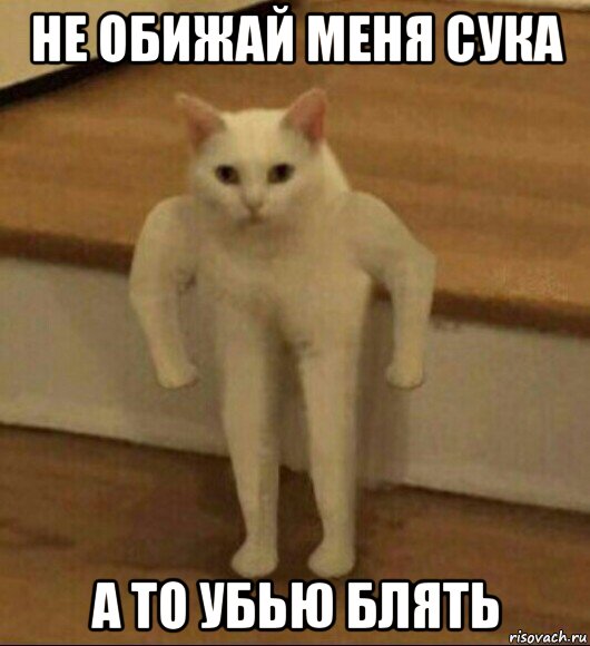 не обижай меня сука а то убью блять, Мем  Полукот