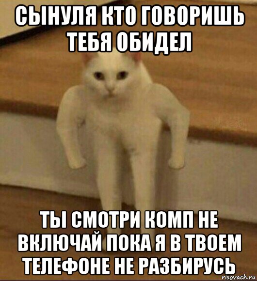 сынуля кто говоришь тебя обидел ты смотри комп не включай пока я в твоем телефоне не разбирусь, Мем  Полукот