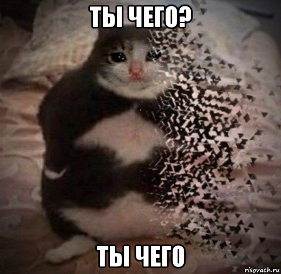 ты чего? ты чего