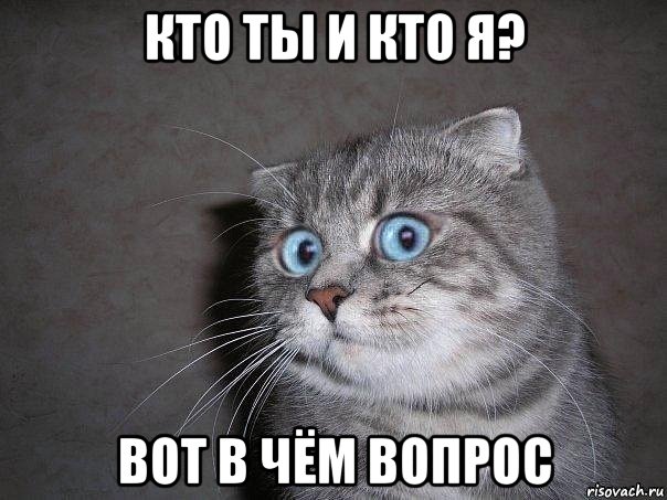 кто ты и кто я? вот в чём вопрос