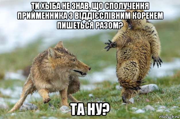 ти хыба не знав, що сполучення прийменника з віддієслівним коренем пишеться разом? та ну?, Мем Волк и суслик