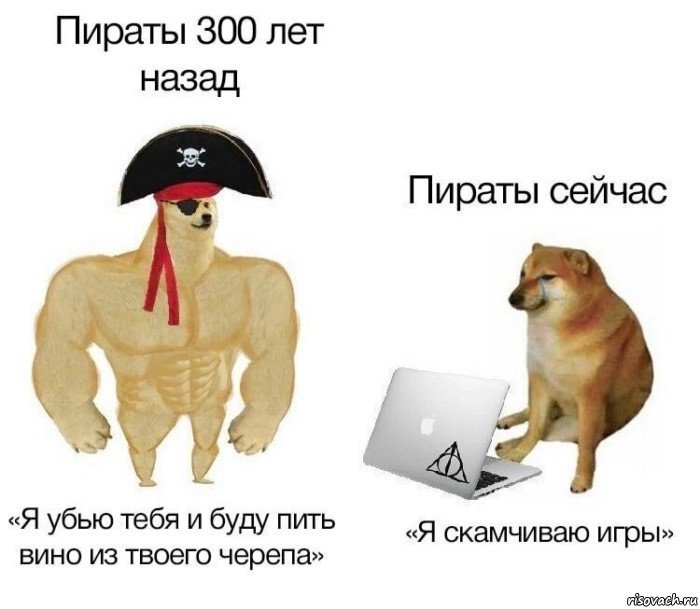 картинки пираты,картинки собаки