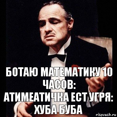 ботаю математику 10 часов:
атимеатичка ест угря: хуба буба