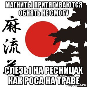 магниты притягиваются обнять не смогу слезы на ресницах как роса на траве