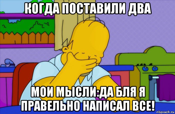 когда поставили два мои мысли:да бля я правельно написал все!, Мем Homer simpson facepalm