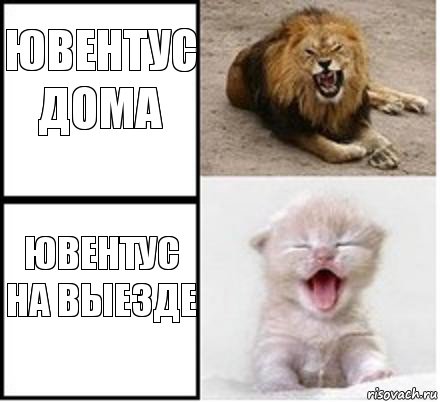 Ювентус дома Ювентус на выезде, Комикс Лев и котенок