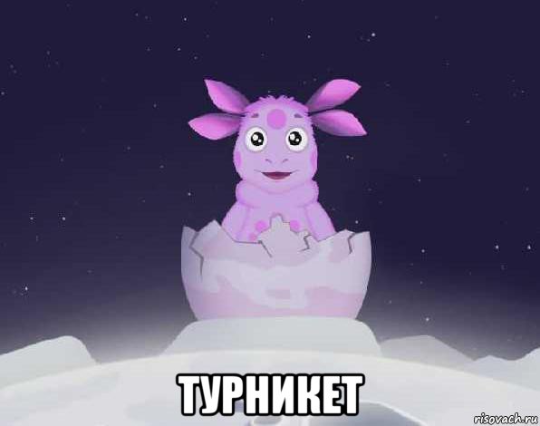  турникет