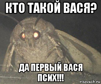 кто такой вася? да первый вася псих!!!, Мем Матылёк