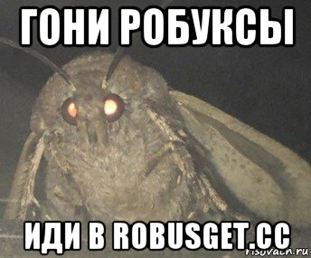 гони робуксы иди в robusget.cc, Мем Матылёк