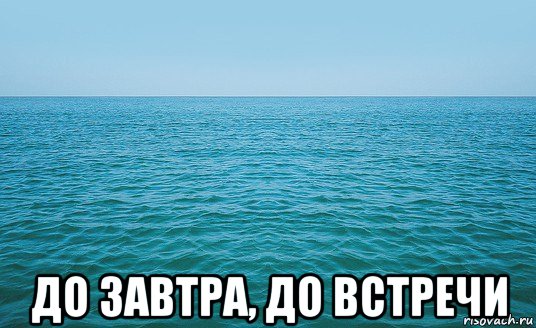  до завтра, до встречи