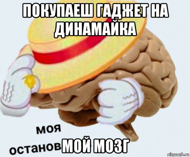 покупаеш гаджет на динамайка мой мозг, Мем   Моя остановочка мозг