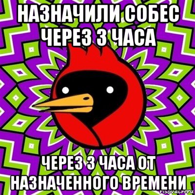 назначили собес через 3 часа через 3 часа от назначенного времени, Мем Омская птица