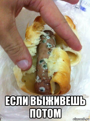  если выживешь потом, Мем Плесень