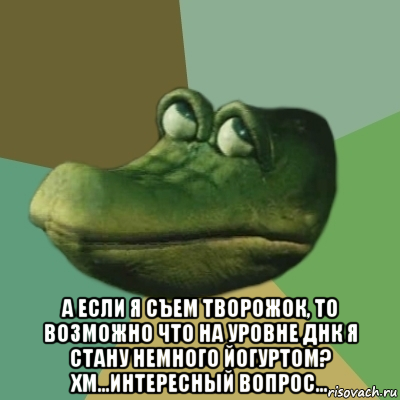  а если я съем творожок, то возможно что на уровне днк я стану немного йогуртом? хм...интересный вопрос..., Мем  Ракодил