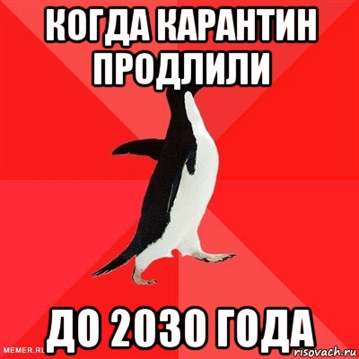 когда карантин продлили до 2030 года, Мем  социально-агрессивный пингвин