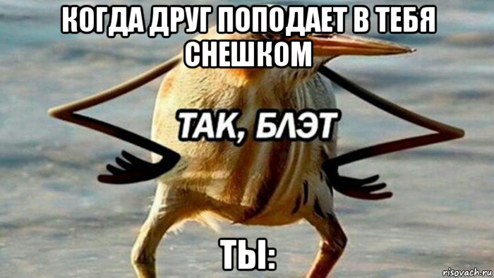 когда друг поподает в тебя снешком ты:, Мем  Так блэт