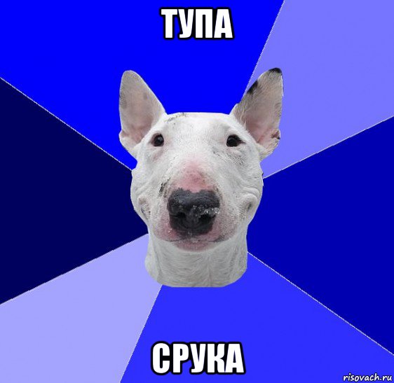 тупа срука, Мем типичный буль