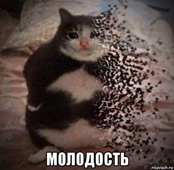  молодость