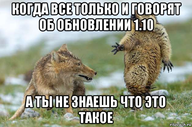 когда все только и говорят об обновлении 1.10 а ты не знаешь что это такое, Мем Волк и суслик