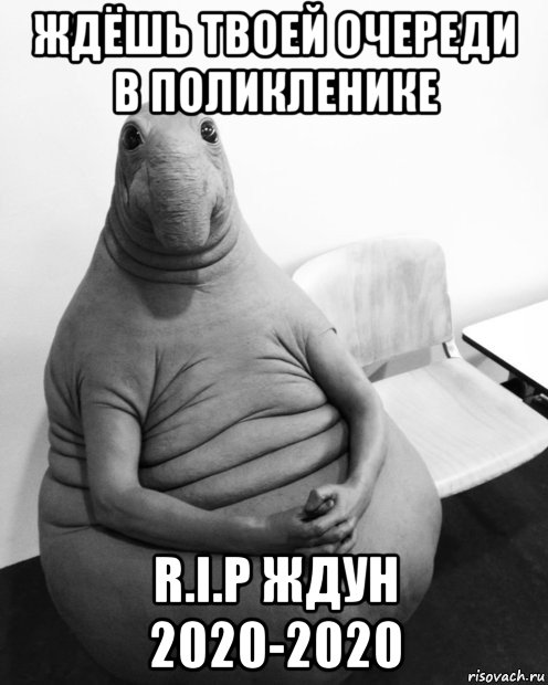 ждёшь твоей очереди в поликленике r.i.p ждун 2020-2020, Мем  Ждун