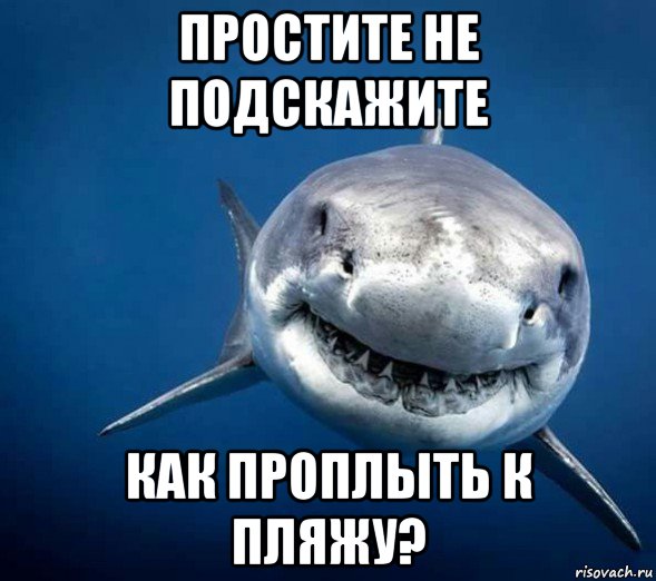 Пон акула мем. Акула Мем. Пон Мем с акулой. Опять ты Мем с акулой. Мемы про акул.