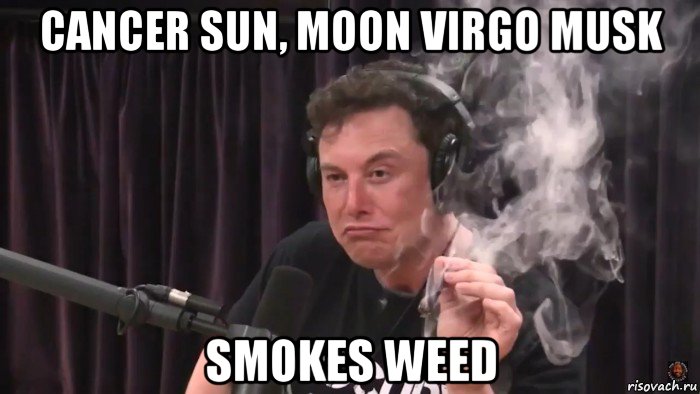 cancer sun, moon virgo musk smokes weed, Мем Илон Маск