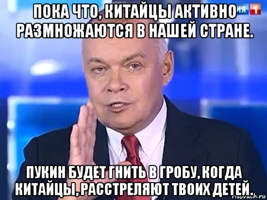 пока что, китайцы активно размножаются в нашей стране. пукин будет гнить в гробу, когда китайцы, расстреляют твоих детей., Мем Киселёв 2014