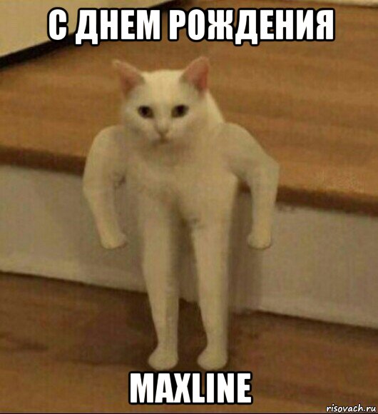 с днем рождения maxline, Мем  Полукот