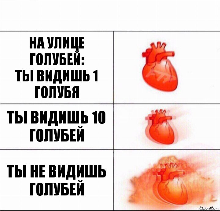 На улице голубей:
Ты видишь 1 голубя Ты видишь 10 голубей Ты не видишь голубей, Комикс  Расширяюшее сердце