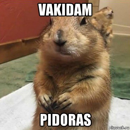 vakidam pidoras