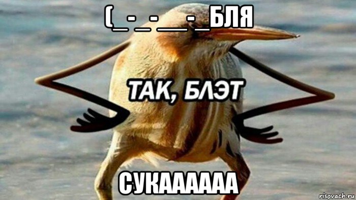 (_-_-__-_бля сукаааааа, Мем  Так блэт