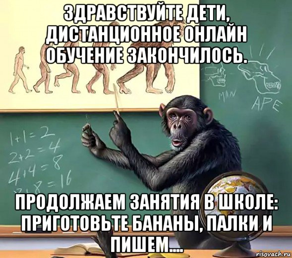 Обучение закончится. Занятия продолжаются смешные. Занятия в школе закончились но продолжить. Мемы дубинка банан. Обучение закончилось.