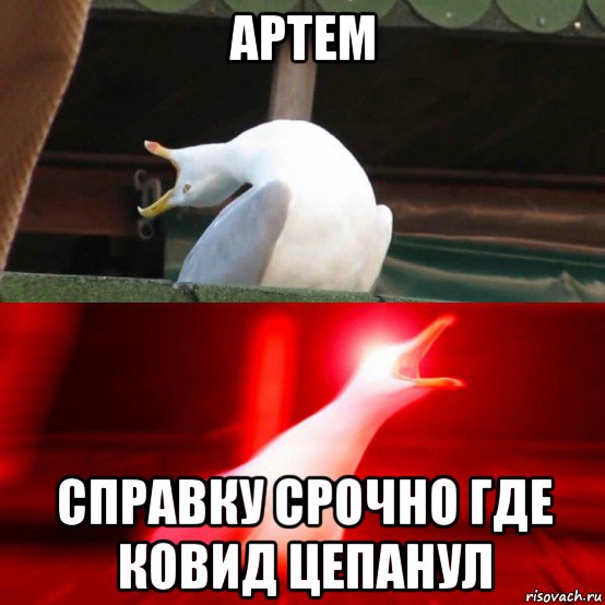 Ковид мем. Мемы про ковид 19. Шутки про ковид. Мемы про ковид смешные.