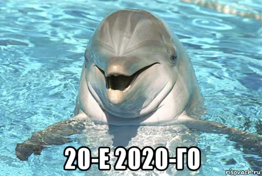 20-е 2020-го, Мем Дельфин