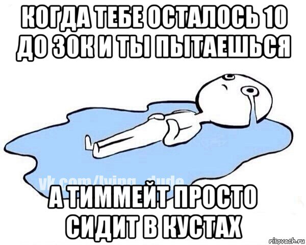 когда тебе осталось 10 до 30к и ты пытаешься а тиммейт просто сидит в кустах, Мем Этот момент когда