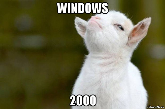 windows 2000, Мем  Гордый козленок