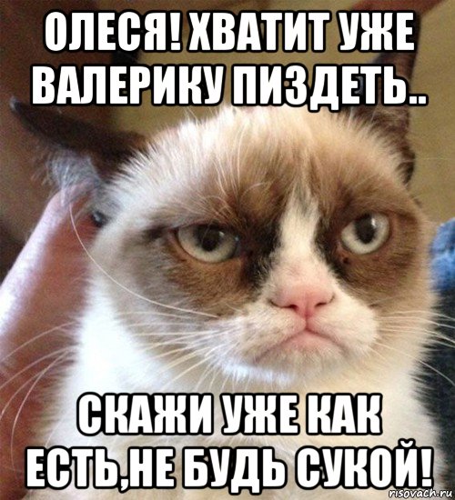 олеся! хватит уже валерику пиздеть.. скажи уже как есть,не будь сукой!, Мем Грустный (сварливый) кот